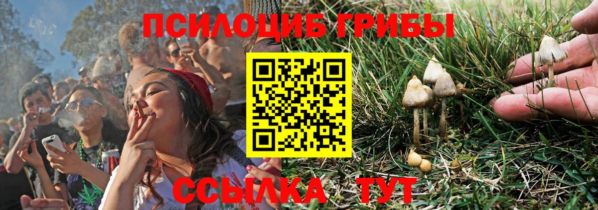 Самара  Галлюциногенные грибы Psilocybine cubensis  Вход с VPN  Галлюциногенные грибы мицелий 