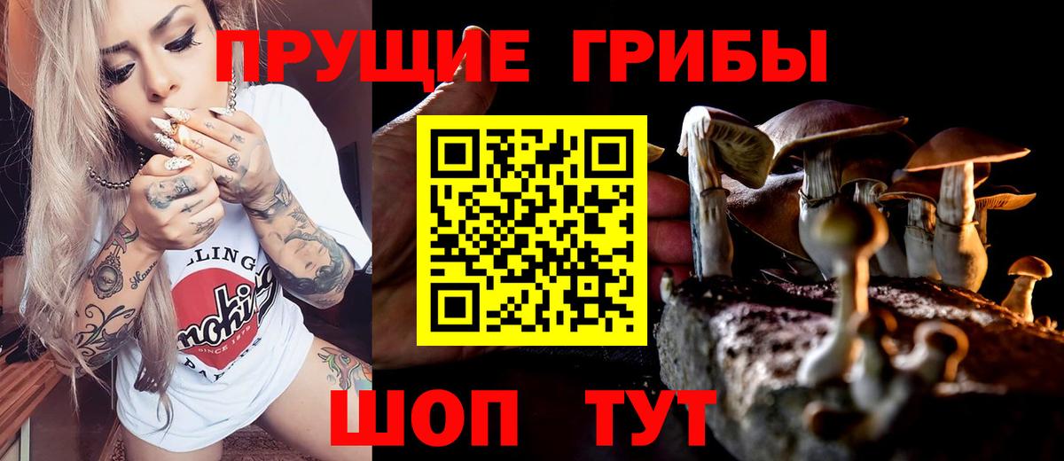 Псилоцибиновые грибы Psilocybe Самара